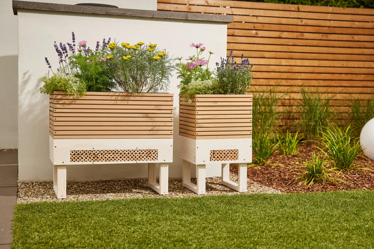 BLUMENKASTEN  - Kieferfarben, Basics, Holz/Kunststoff (33/54/33cm) - Siena Garden