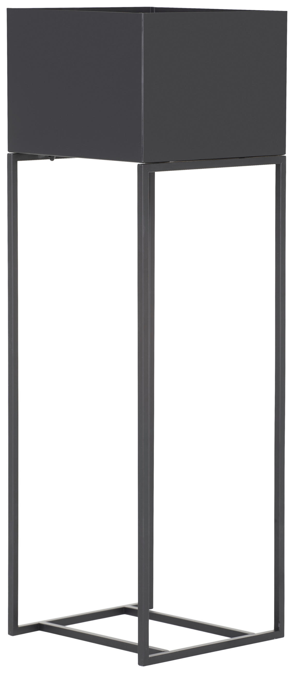 BLUMENSTÄNDER Metall  - Schwarz, Design, Metall (25/80/25cm) - Landscape