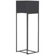 BLUMENSTÄNDER Metall  - Schwarz, Design, Metall (25/80/25cm) - Landscape