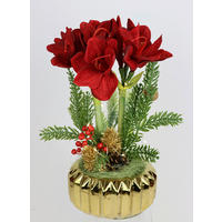 AMARYLLIS  - Rot, Basics, Kunststoff (22/34/22cm) - X-Mas