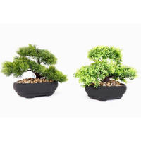 BONSAI - verde/negru, Basics, plastic (30/20/20cm)