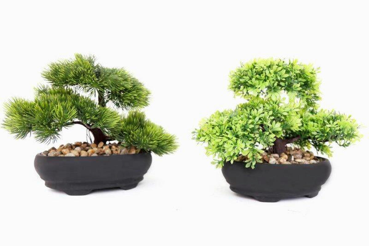 BONSAI - verde/negru, Basics, plastic (30/20/20cm)