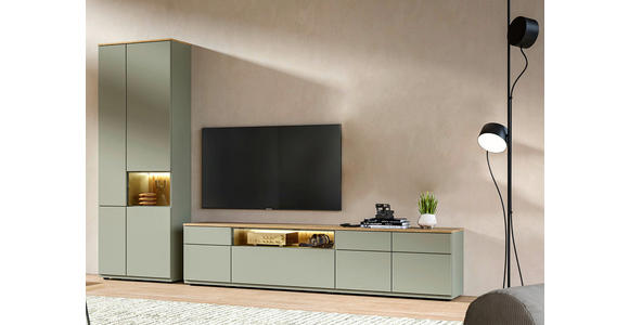 WOHNWAND  in Eichefarben, Schilfgrün  315/215/45 cm  - Schilfgrün/Eichefarben, KONVENTIONELL, Glas/Holzwerkstoff (315/215/45cm) - Venda