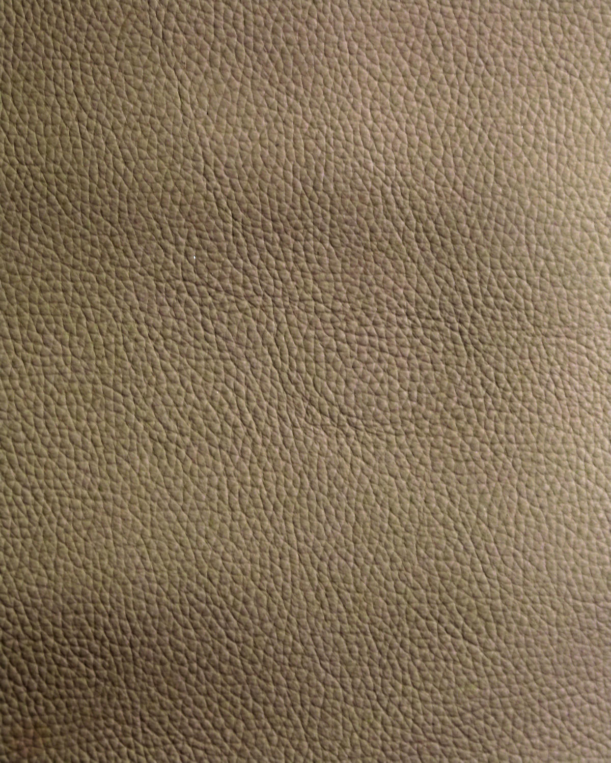 STUHL Echtleder Schwarz, Taupe  - Taupe/Schwarz, Design, Leder/Metall (50/92/64,5cm) - Dieter Knoll