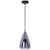 LUSTER  16,5/150 cm      - crna, Dizajnerski, staklo/metal (16,5/150cm)