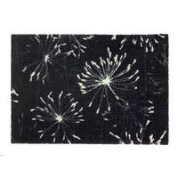 FUSSMATTE - Anthrazit/Mintgrün, Konventionell, Textil (50/70cm) - Schöner Wohnen Teppi