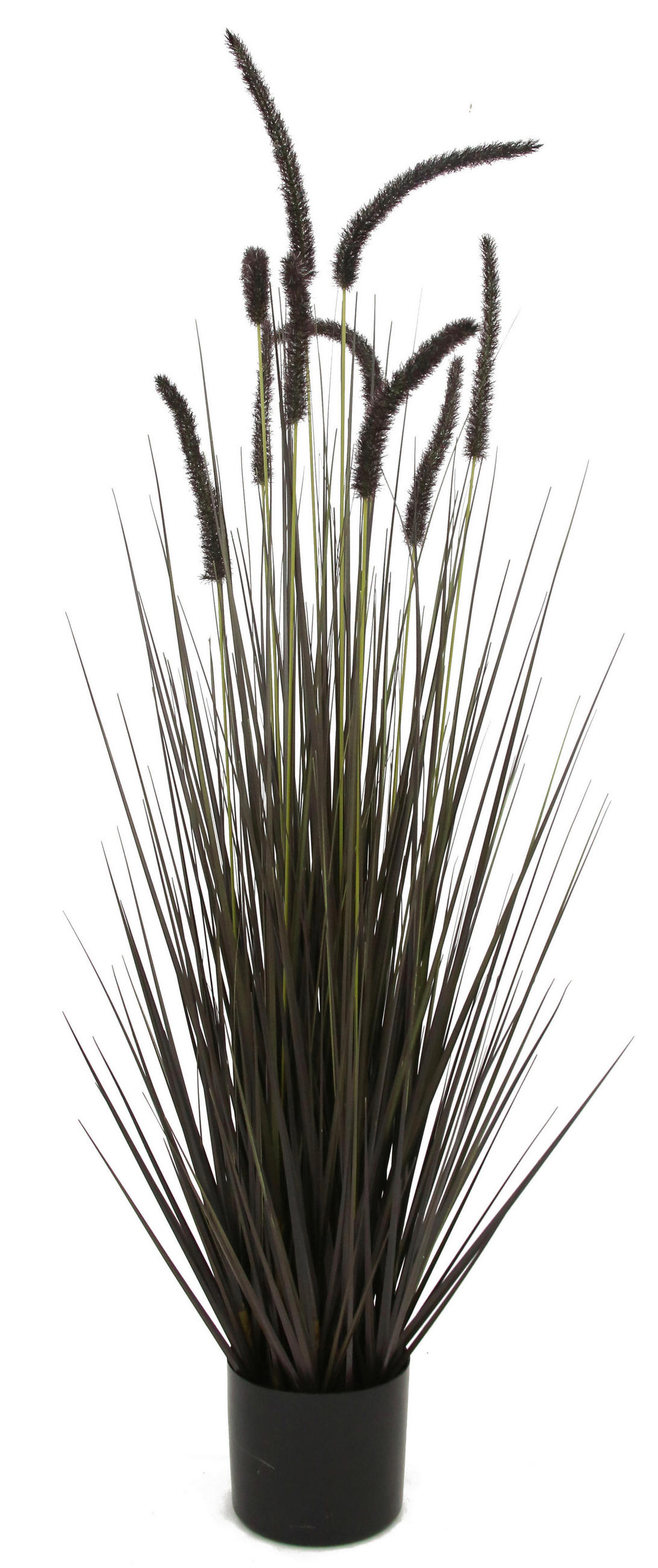 KUNSTPFLANZE  - Natur (15cm) - Ambia Home