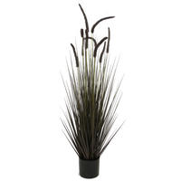 KUNSTPFLANZE  - Natur (15cm) - Ambia Home