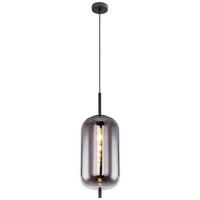 VISEČA SVETILKA  Blacky      22/120 cm      E27 - črna, Design, kovina/steklo (22/120cm) - Globo