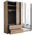SCHWEBETÜRENSCHRANK 215/225,5/60,5 cm 2-türig Eichefarben  - Eichefarben/Schwarz, MODERN, Glas/Holzwerkstoff (215/225,5/60,5cm) - Xora