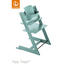 Tripp Trapp Hochstuhl Buche Hartholz, massiv Aqua Blue - Türkis, Basics, Holz (46/79/49cm) - Stokke
