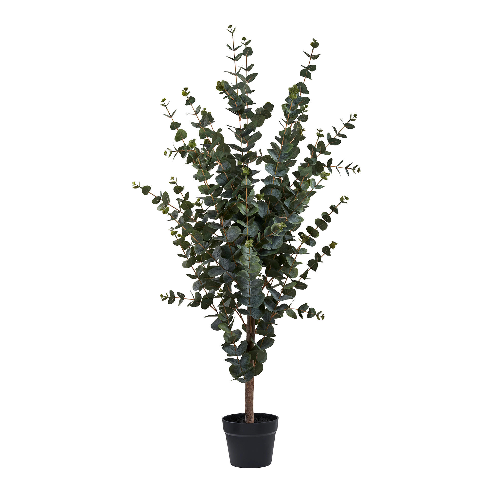 KUNSTPFLANZE Eukalyptus  - Grün, Design (46/120/36cm)