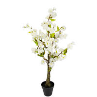 UMĚLÁ ROSTLINA 70 cm - bílá, Lifestyle, textil/plast (70cm)