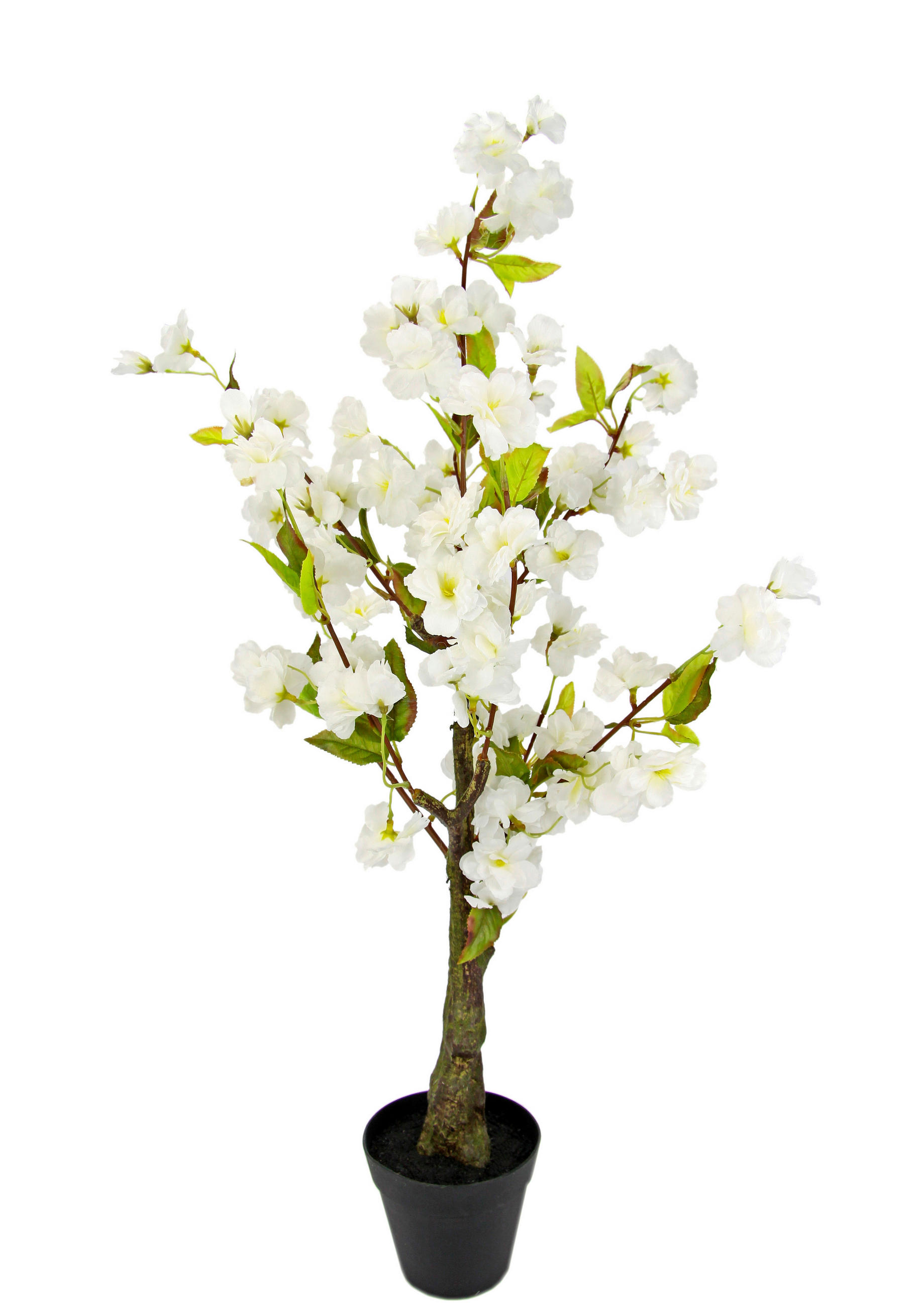 UMĚLÁ ROSTLINA 70 cm