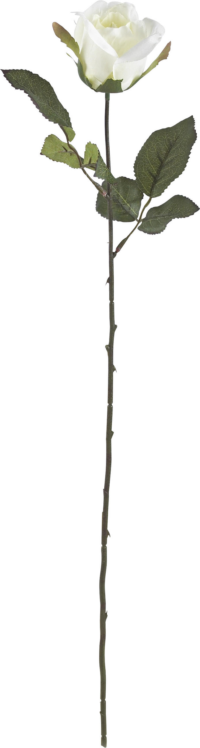 CVIJEĆE UMJETNO  - narančasta/bijela, Basics, tekstil/plastika (62cm)