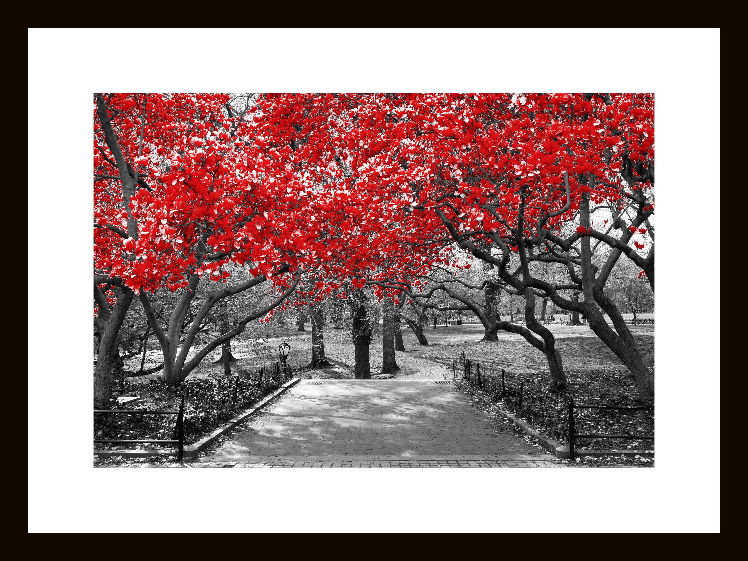 GLASBILD Bäume 30/40 cm  - Rot/Schwarz, Basics, Glas (30/40cm) - Euroart