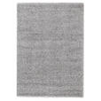 HOCHFLORTEPPICH 60/90 cm FANTASY SHAGGY Silberfarben  - Silberfarben, Basics, Textil (60/90cm) - Novel