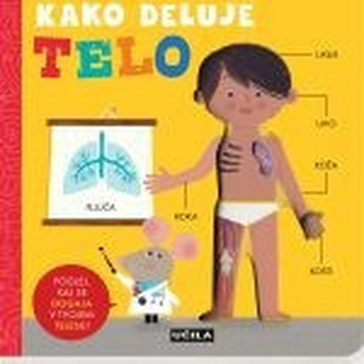 OTROŠKA KNJIGICA - Basics, karton