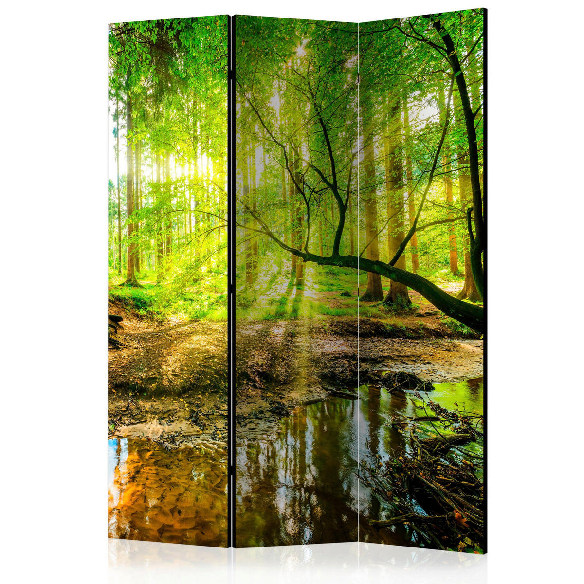 PARAVENT mit 3  Flügel - Gelb/Grün, Basics, Holz/Kunststoff (135/172/3cm) - artgeist