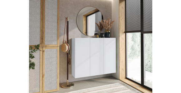 HÄNGESCHUHSCHRANK Weiß - Weiß, Design, Holzwerkstoff (120/100/34cm) - Hom`in