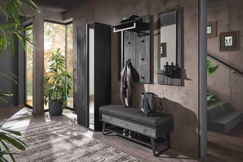 GARDEROBE 4-teilig  in 201/196/41 cm  - Anthrazit, Design, Glas/Holz (201/196/41cm) - Johann Jakob
