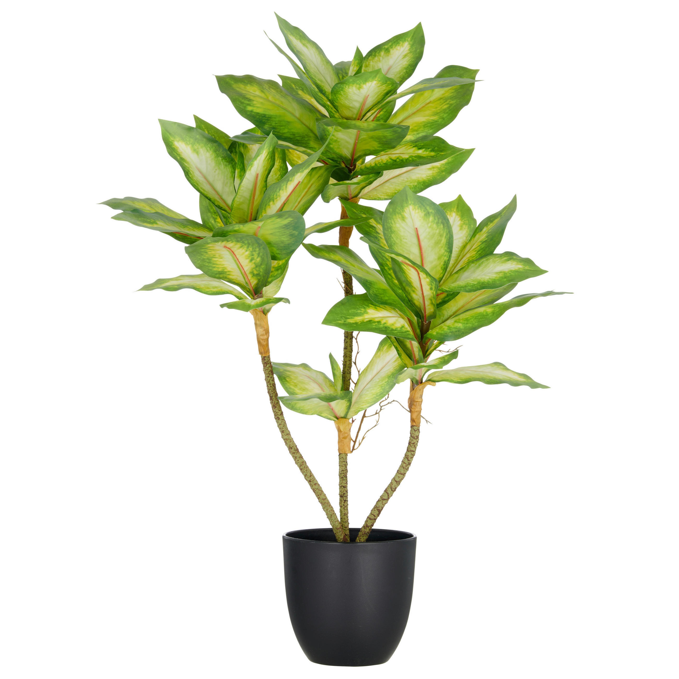 KUNSTPFLANZE Dieffenbachia 65 cm  - Schwarz/Braun, Basics, Kunststoff (65cm)