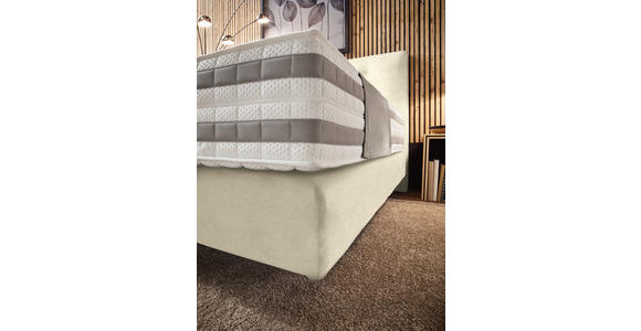 BOXSPRINGBETT 160/200 cm in Beige - Beige, KONVENTIONELL, Holz/Textil (160/200cm) - Dieter Knoll