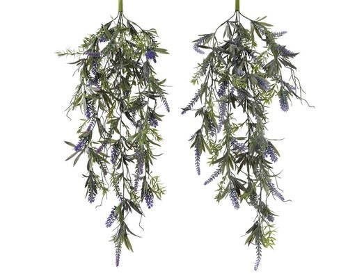 LAVANDA - Osnovno (70cm)
