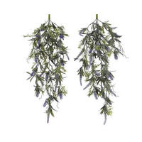 LAVANDA - Osnovno (70cm)