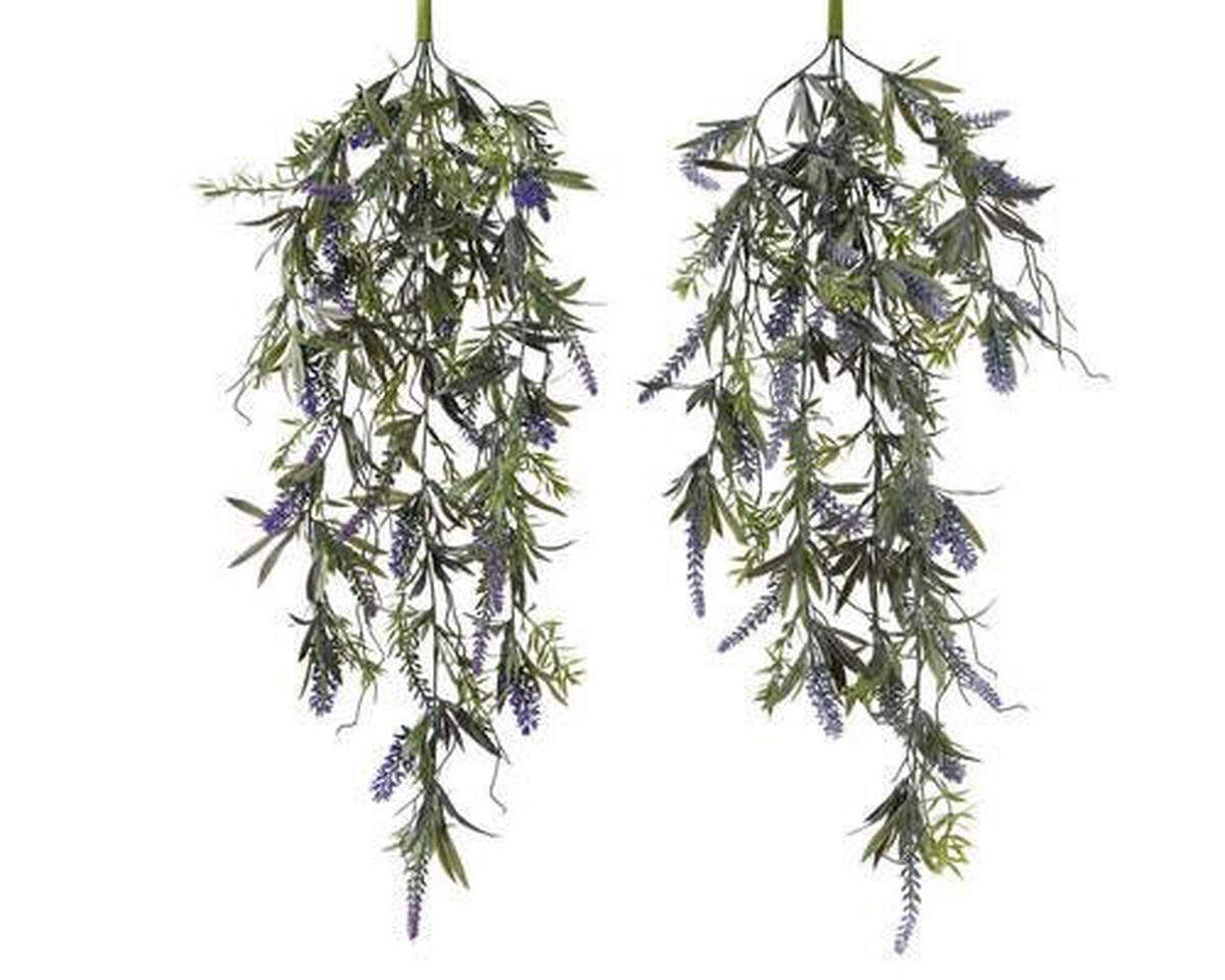 LAVANDA - Osnovno (70cm)