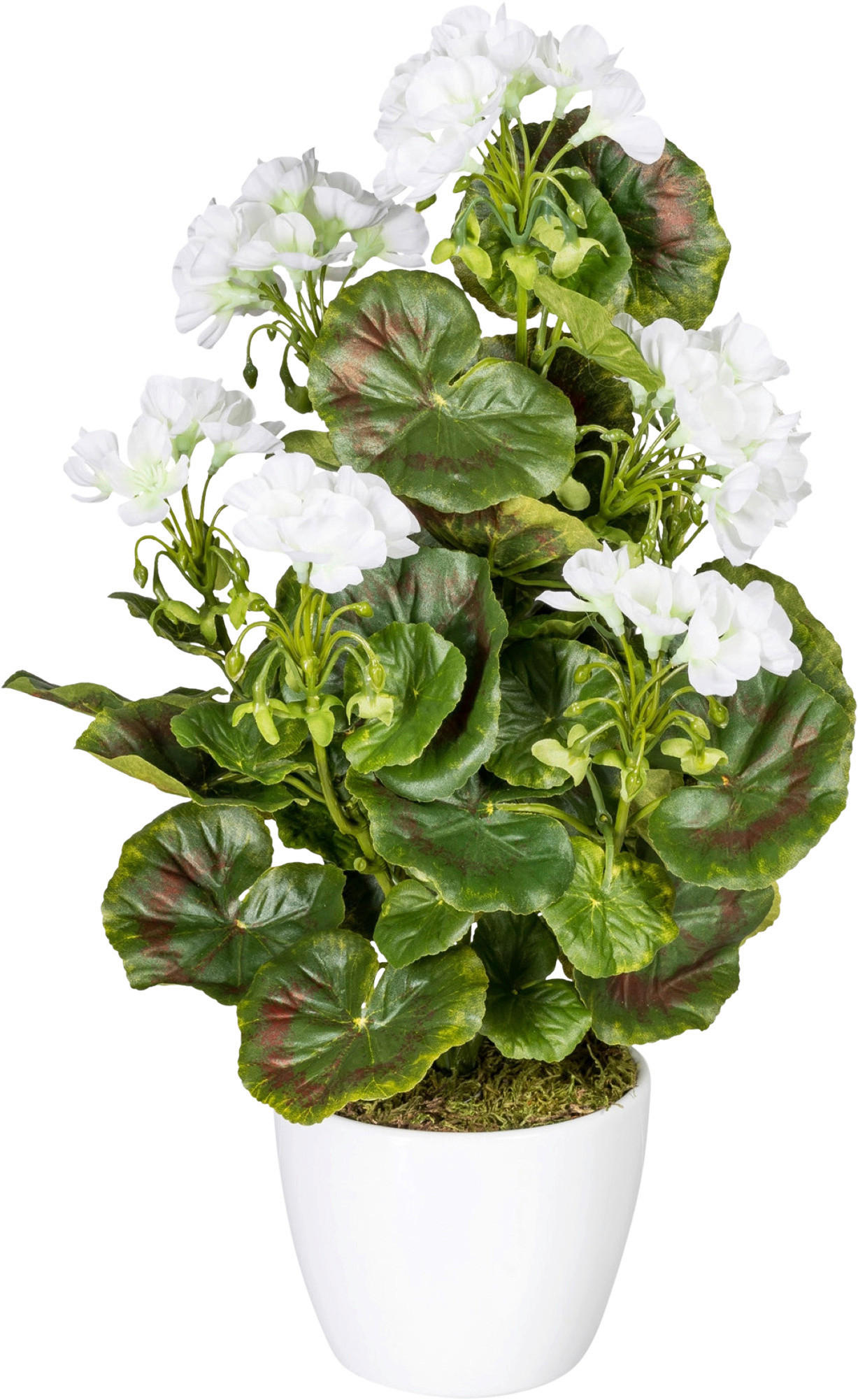 KUNSTPFLANZE Geranie 40 cm  - Weiß/Grün, Design, Keramik/Kunststoff (40cm) - P & B