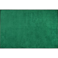 FLACHWEBETEPPICH  Wohnzimmer 120/180 cm Ever Green Grün rechteckig  - Grün, KONVENTIONELL, Kunststoff/Textil (120/180cm) - wash+dry