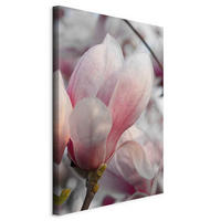 LEINWANDBILD Abstraktes, Blumen 40/60/1,2 cm  - Pink/Grau, Basics, Holzwerkstoff/Textil (40/60/1,2cm) - artgeist