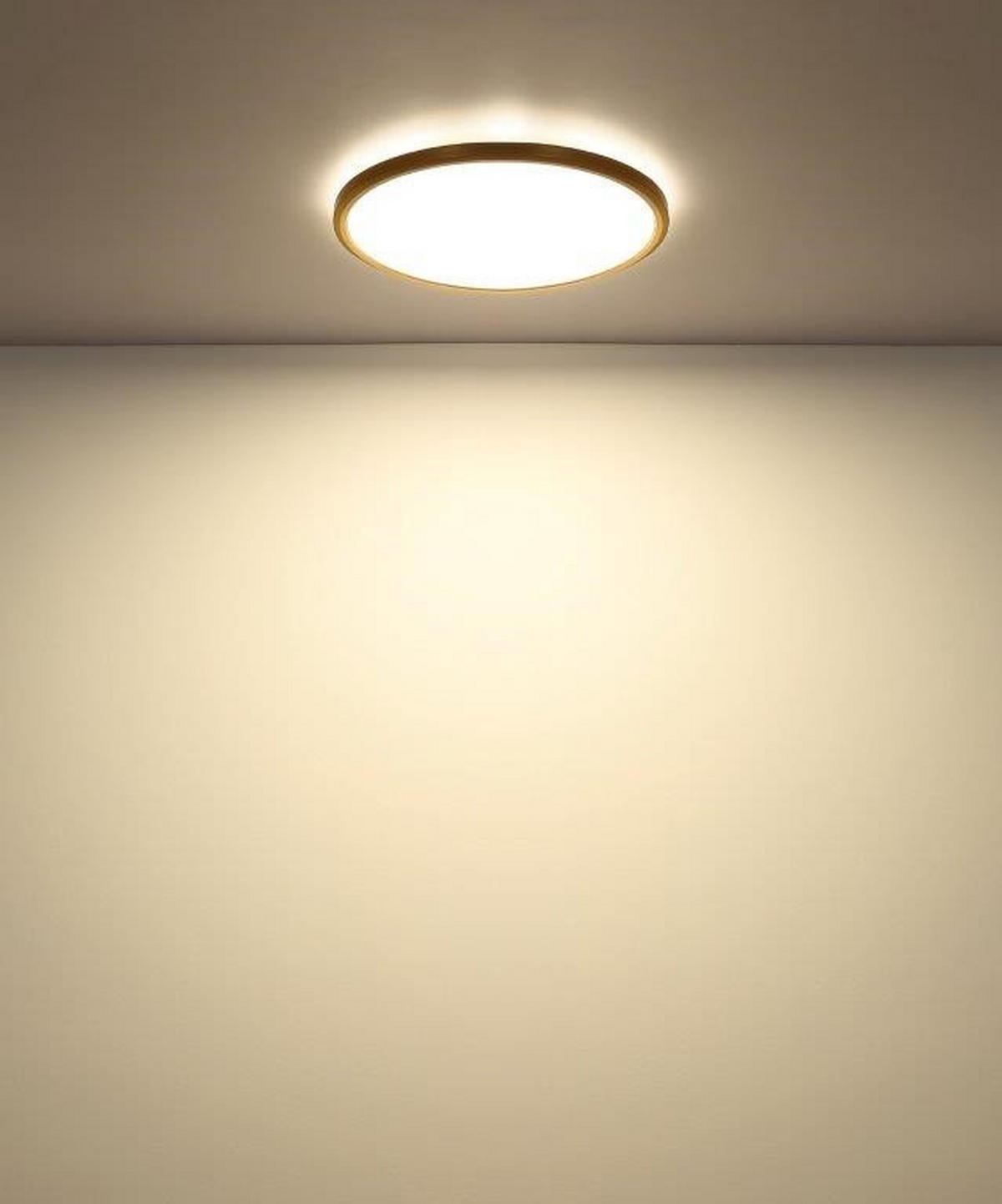 STROPNA KOPAL. LED-SVETILKA  Sapana      29,4/2,5 cm     3000/4000/6500 K - bela/opal, Konvencionalno, umetna masa (29,4/2,5cm)