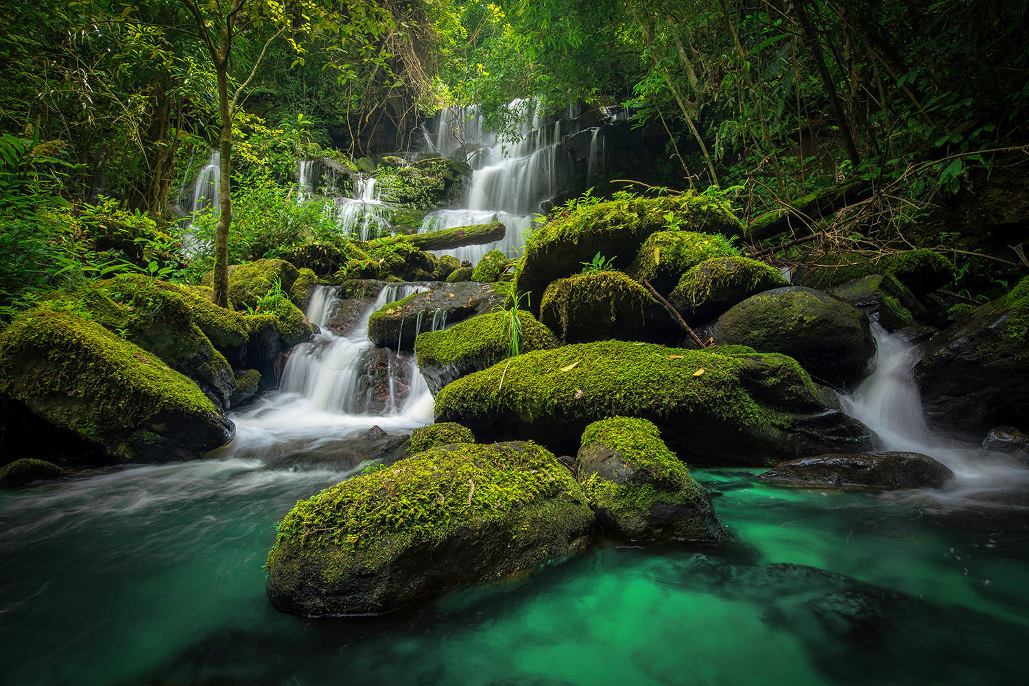 STEKLENA SLIKA    - večbarvno, Natur, papir/steklo (120/80cm) - Monee