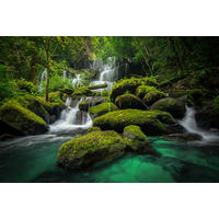 STEKLENA SLIKA    - večbarvno, Natur, papir/steklo (120/80cm) - Monee