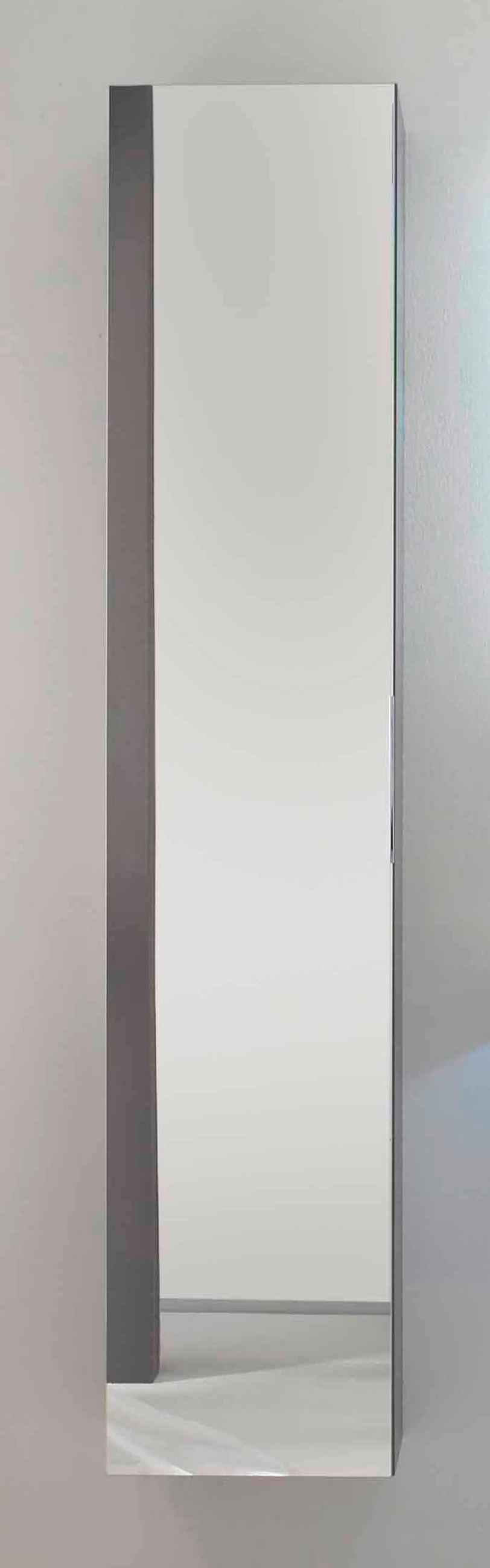 Dulap Suspendat  - grafit/gri, Basics, sticlă/material pe bază de lemn (35/168cm) - Leonardo