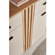 SCHUHSCHRANK 100/103/38 cm - Kaschmir/Eichefarben, Basics, Holzwerkstoff/Kunststoff (100/103/38cm) - Xora