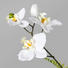 KUNSTBLUME Orchidee - Weiß/Braun, Trend, Kunststoff (57cm)