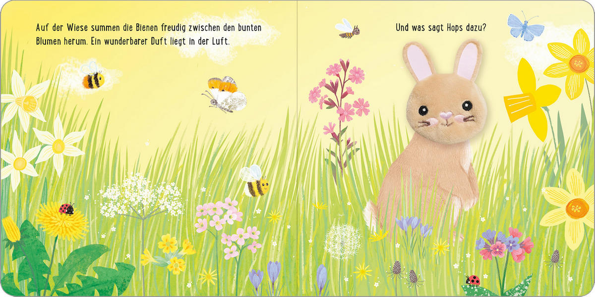 BUCH  - Multicolor, Basics, Papier (16,5/16,5/1cm)