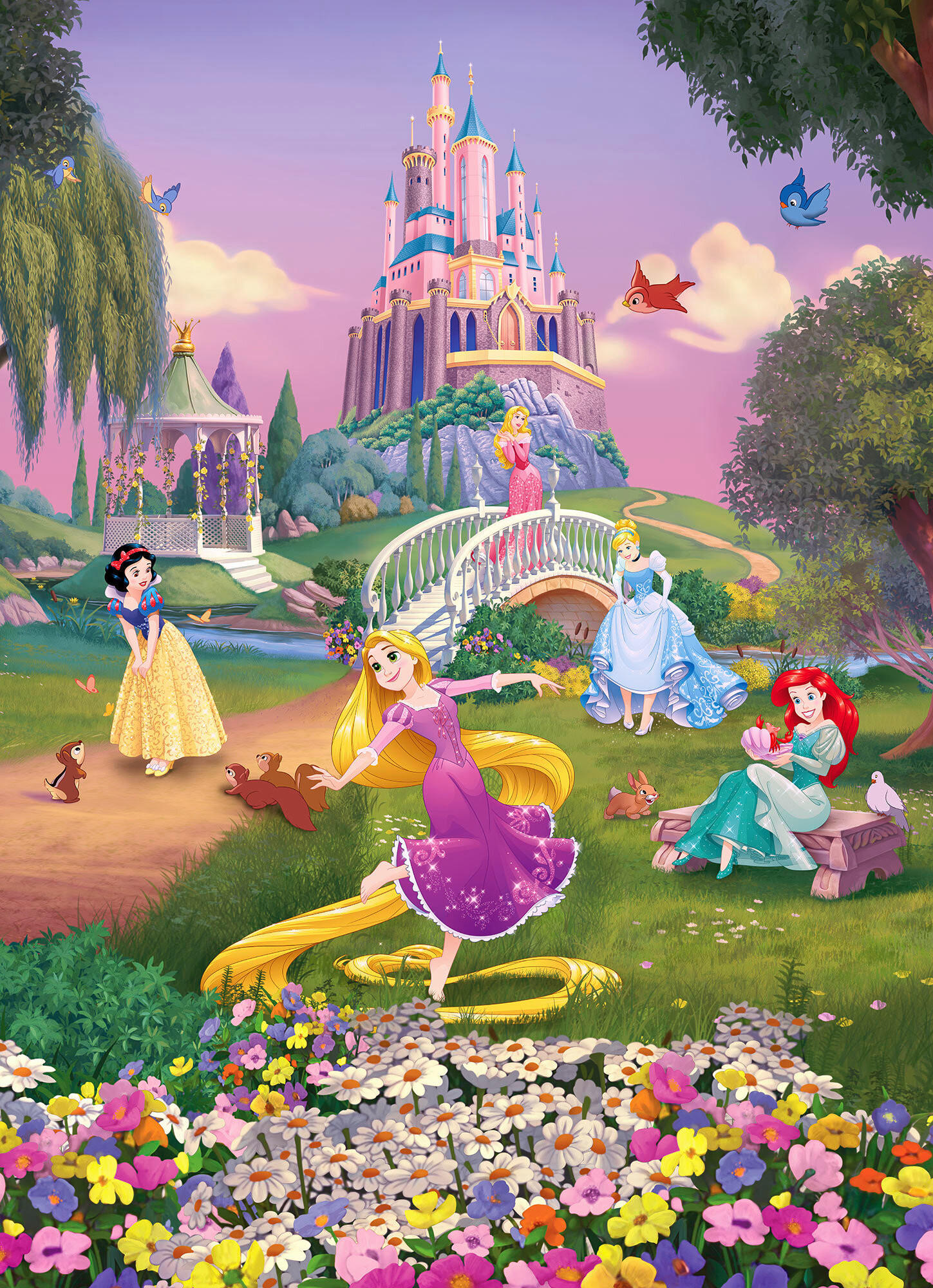 FOTOTAPETE Disney Prinzessinnen  - Design, Papier (184/254cm) - Komar