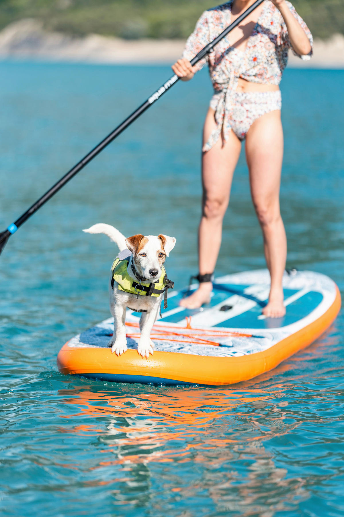 STAND-UP PADDLE BOARD AQUA MARINA PA-25T320  - Blau, Trend, Kunststoff (320/81/15cm)