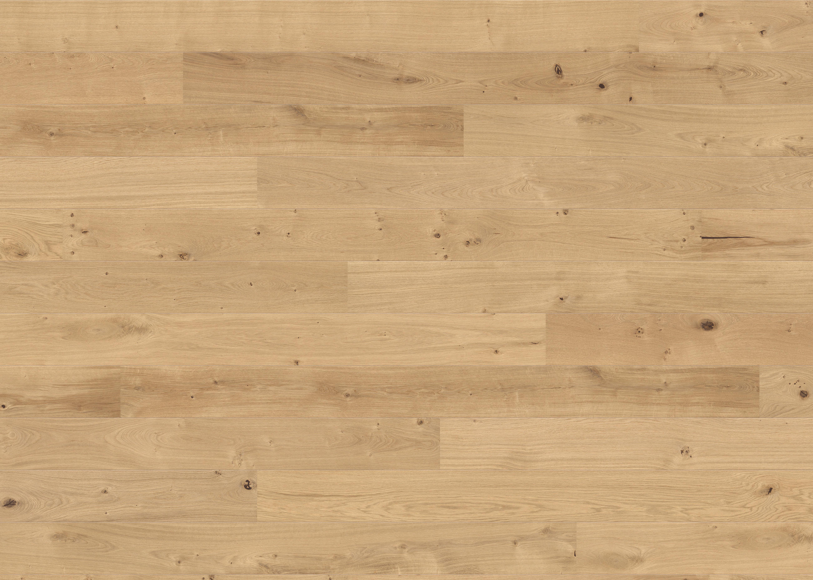 PARKETTBODEN Living by HARO PARKETT 2500 LA  per  m² - Hellbraun, Basics, Holzwerkstoff (18/220cm) - Living by HARO