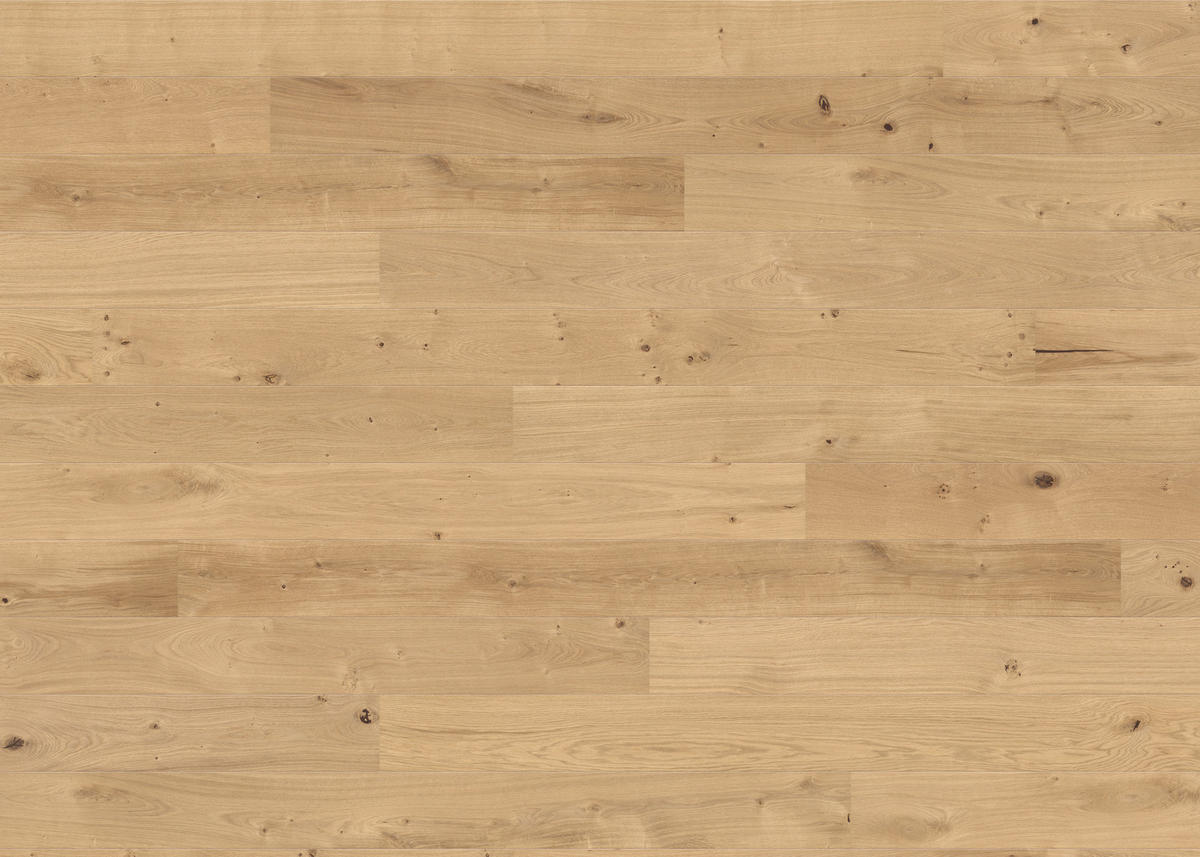 PARKETTBODEN Living by HARO PARKETT 2500 LA  per  m² - Hellbraun, Basics, Holzwerkstoff (18/220cm) - Living by HARO