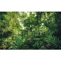 VLIESTAPETE  - Natur (400/250cm) - Komar