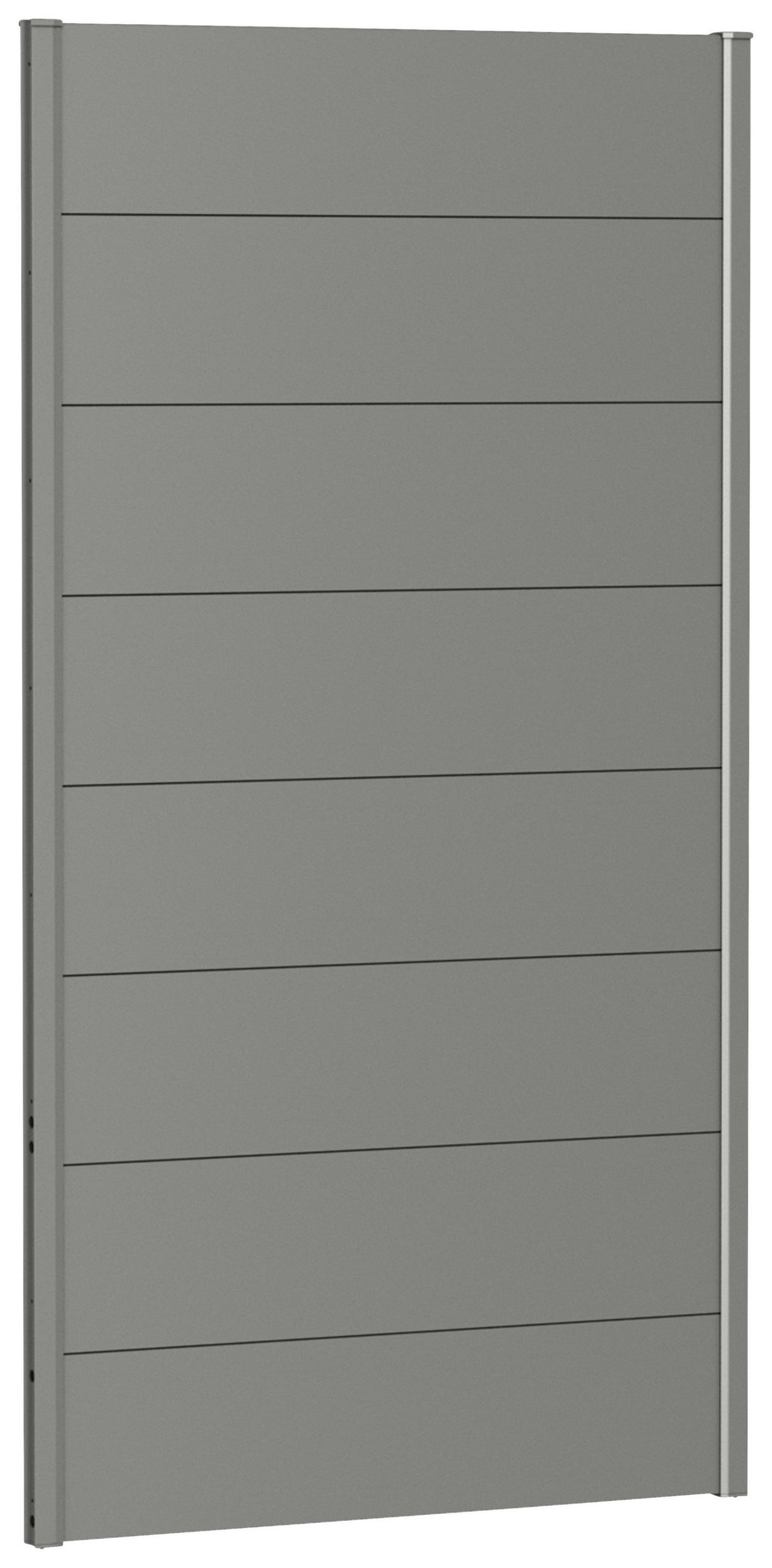 SICHTSCHUTZ - Grau, Basics, Metall (96/182/4,4cm) - Biohort