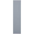 TÜR 45,4/203/1,8 cm Hellgrau  - Hellgrau, KONVENTIONELL, Holzwerkstoff (45,4/203/1,8cm) - Hom`in