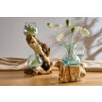 VASE 40 cm  - Klar/Ecru, Natur, Glas/Holz (25/40/23cm) - Ambia Home