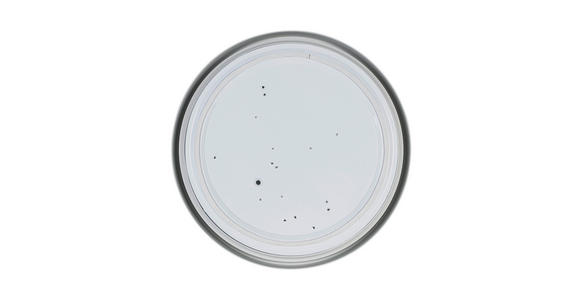 DECKENLEUCHTE 40/7 cm  - Walnussfarben/Schwarz, Trend, Kunststoff/Metall (40/7cm) - Novel