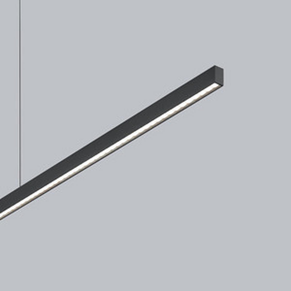 LED-HÄNGELEUCHTE LOOPY-evo 126,5/3 / 1,2/210 cm   - Schwarz, MODERN, Metall (126,5/3 / 1,2/210cm) - Helestra